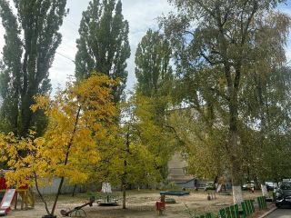 Продам трехкомнатную квартиру косметический ремонт ухоженный подъезд с мебелью фото 10 Ростов-на-Дону