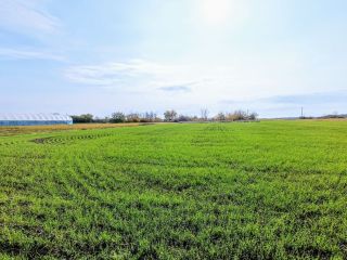 Продается кирпичный дом со всеми удобствами фото 2 П. Газырь