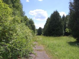 Продается участок земли есть электричество с коммуникациями фото Истра