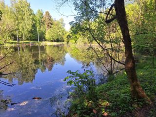 Продаю нежилое помещение фото Красногорск