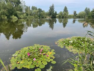 Продам блочный дом рядом асфальт фото 15 Балашиха