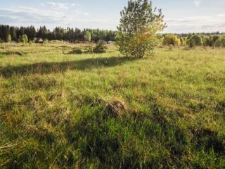 Продается земельный участок рассрочка красивый фото Кингисепп