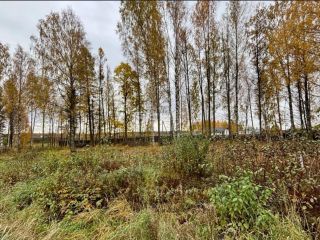 Продаю земельный участок своя скважина на первой линии фото 2 Всеволожск