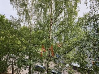 Продается 3 комнатная квартира взрослый собственник фото 16 Санкт-Петербург