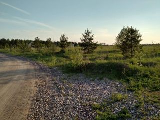 Продам земельный участок есть документы видеонаблюдение фото Кингисепп