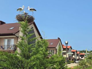 Продам кирпичный коттедж с коммуникациями удобное расположение фото Сочи