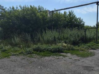 Продается помещение свободного назначения фото 2 Курган