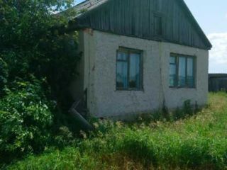 Продам помещение свободного назначения фото 1 Курган