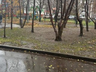 Продаю 1 комнатную квартиру взрослый собственник фото 18 Москва