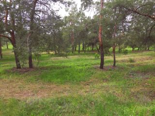 Продаю кирпичный дом без ремонта фото 9 Волгоград