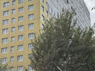 Продаю однушку фото 8 Москва