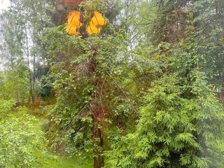 Продам деревянный дом с коммуникациями видеонаблюдение фото 8 Пушкино