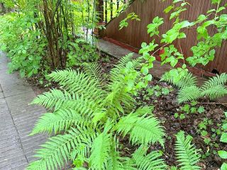 Продам деревянный дом с коммуникациями видеонаблюдение фото 28 Пушкино