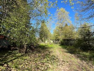 Продается нежилое помещение фото 3 Дмитров