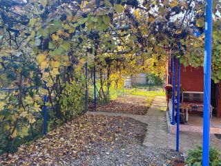 Продается кирпичный дом косметический ремонт фото 14 Армавир