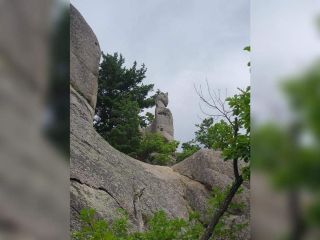 Продам участок земли фото 9 Владивосток