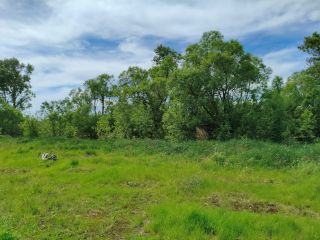 Продам земельный участок фото Спас-Клепики