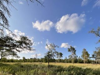 Продаю кирпичный дом своя скважина фото 7 Волгоград