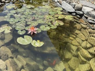 Продаю кирпичный дом своя скважина фото 17 Волгоград