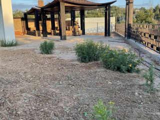 Продаю кирпичный дом своя скважина фото 37 Волгоград