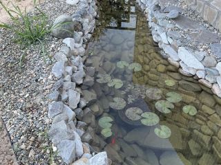 Продаю кирпичный дом своя скважина фото 42 Волгоград