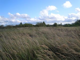 Продается зем участок в садовом некоммерческом товариществе рядом лес фото П Сосновка