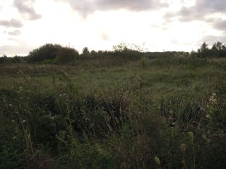 Продается зем участок в садовом некоммерческом товариществе рядом лес фото 3 П Сосновка