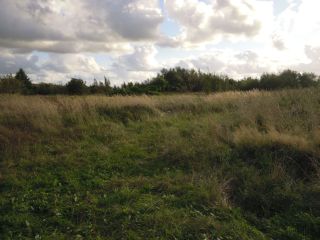 Продается зем участок в садовом некоммерческом товариществе рядом лес фото 4 П Сосновка