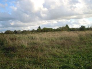 Продается зем участок в садовом некоммерческом товариществе рядом лес фото 5 П Сосновка