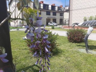 Продаю кирпичный коттедж документы на руках рассрочка фото 4 Сочи