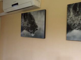 Сдается 1 комн. квартира с мебелью фото 12 Москва