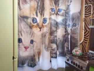 Сдается 1 комн. квартира с мебелью фото 21 Москва