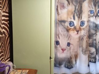 Сдается 1 комн. квартира с мебелью фото 22 Москва