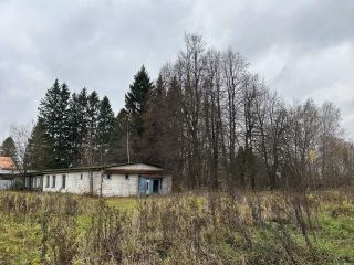 Продается помещение свободного назначения рядом асфальт фото 8 Дмитров