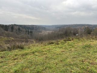 Продается помещение свободного назначения рядом асфальт фото 12 Дмитров