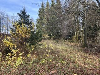 Продается помещение свободного назначения рядом асфальт фото 14 Дмитров