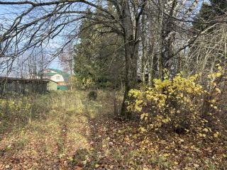 Продается помещение свободного назначения рядом асфальт фото 15 Дмитров