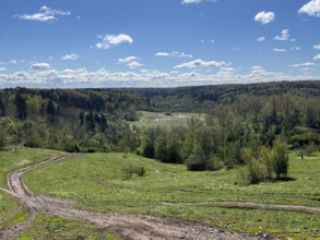 Продается помещение свободного назначения рядом асфальт фото 17 Дмитров