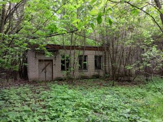 Продается помещение свободного назначения в садовом некоммерческом товариществе фото 5 Раменское