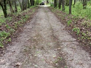 Продается помещение свободного назначения в садовом некоммерческом товариществе фото 15 Раменское