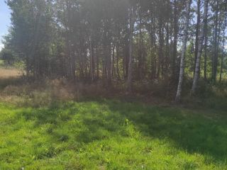 Продам земельный участок есть баня с коммуникациями фото 3 Приозерск