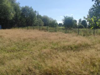 Продам земельный участок есть баня с коммуникациями фото 7 Приозерск