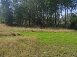 Продам земельный участок есть баня с коммуникациями фото 13 Приозерск