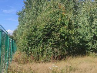 Продам земельный участок есть баня с коммуникациями фото 20 Приозерск