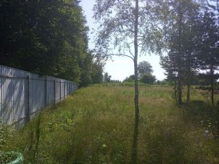 Продам земельный участок есть баня с коммуникациями фото 31 Приозерск