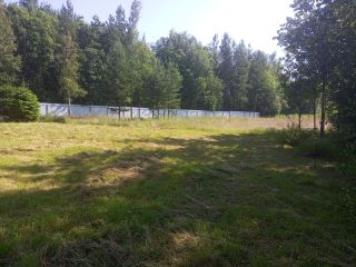 Продам земельный участок есть баня с коммуникациями фото 34 Приозерск