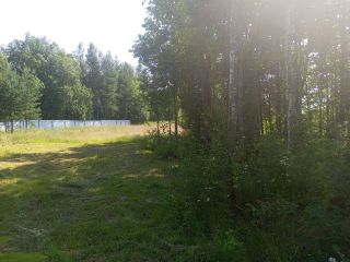 Продам земельный участок есть баня с коммуникациями фото 35 Приозерск