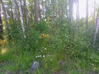 Продам земельный участок есть баня с коммуникациями фото 39 Приозерск