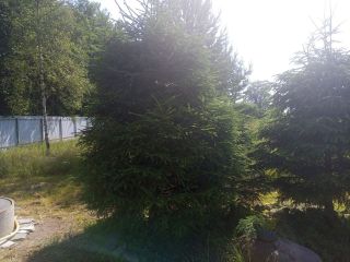 Продам земельный участок есть баня с коммуникациями фото 44 Приозерск