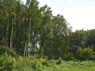 Продам двухкомнатную квартиру фото 30 Мытищи